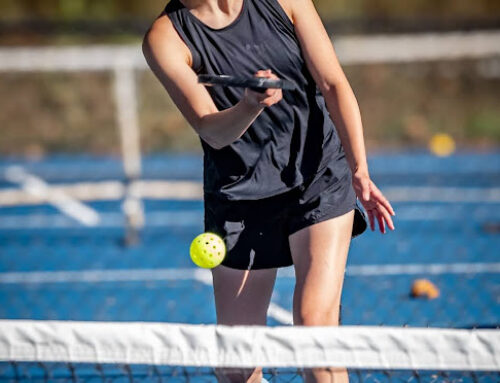 Luxurious Amenities at Peninsula at Wilson Lake