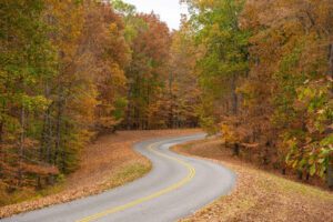 The Natchez Trace Parkway.
