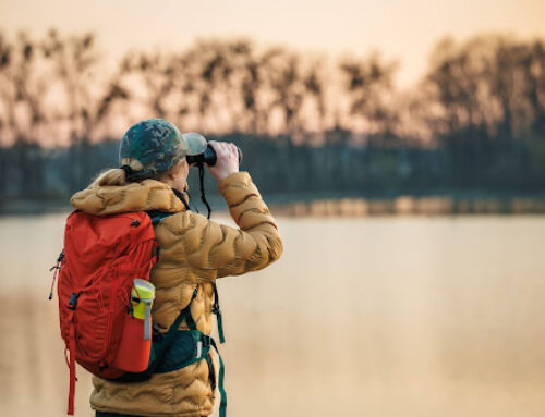 Birdwatcher’s Paradise: Wildlife You’ll Spot at Wilson Lake