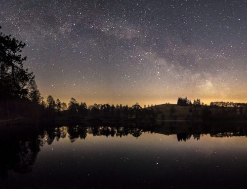 Stargazing at Wilson Lake: Your Night Sky Guide