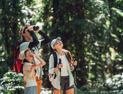 Wildflower Trails and Nature Walks: Exploring Peninsula’s Seasonal Flora